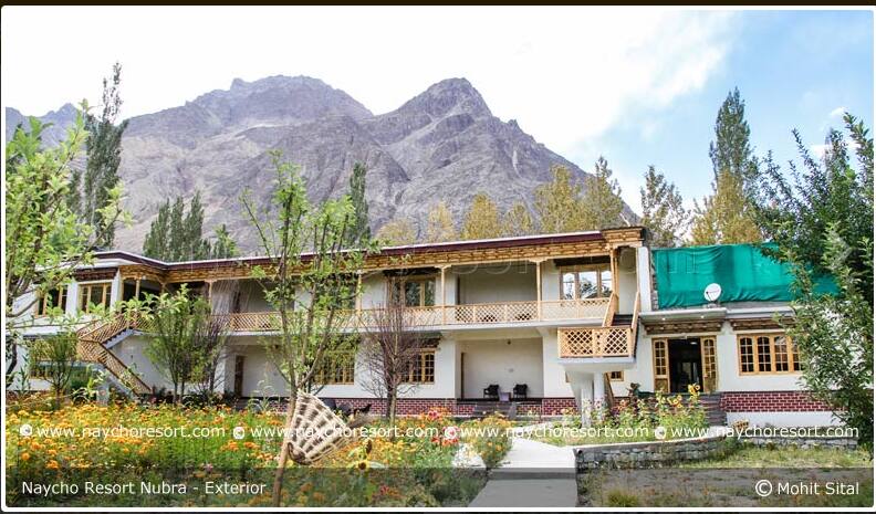 Naycho Resort, Nubra valley 4
